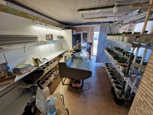 Фото: Продается коммерческое помещение, test