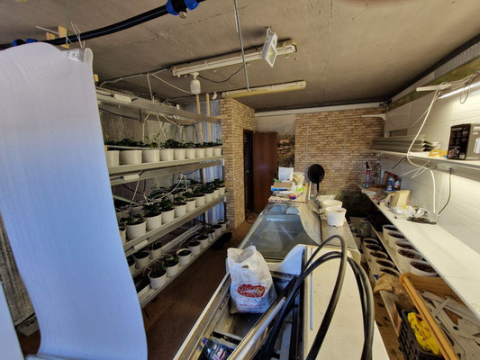 Фото: Продается коммерческое помещение, test