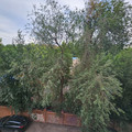 Квартира на продажу в Ростове-на-Дону, Ленина пр-кт, 105Г фото №12
