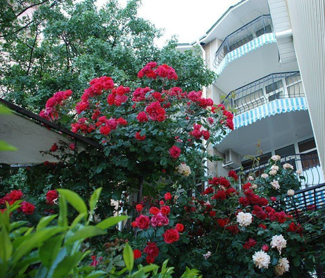 Фото: Гостиница 860 м2 у моря! test