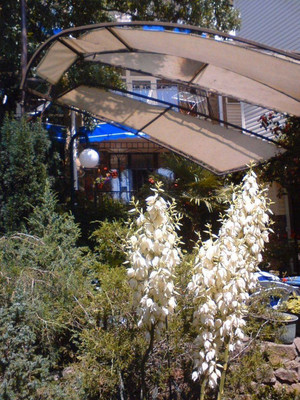 Фото: Гостиница 860 м2 у моря! test