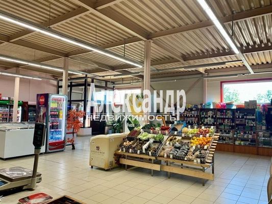 Фото: Аренда торгового помещения test