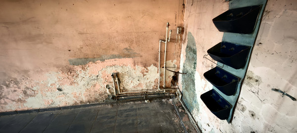 Фото: Сдаю помещение производственное test