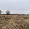 Участок на продажу в Новогремяченском, Октябрьская ул, 79 фото №2