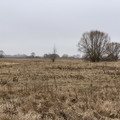 Участок на продажу в Новогремяченском, Октябрьская ул, 79 фото №3