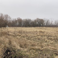 Участок на продажу в Новогремяченском, Октябрьская ул, 79 фото №5