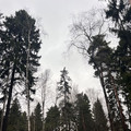 Участок на продажу в Троицке, Мытищинская ул, 7а фото №9