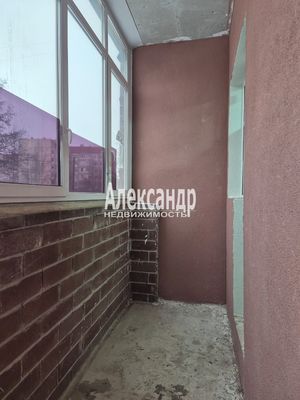 Фото: Сдается test