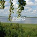 Дом на продажу в Сучной, Сучная д фото №0
