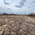 Участок на продажу в Мичуринском, Новая ул фото №4