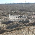 Участок на продажу в Пуговкино, Пуговкино д фото №3