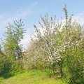 Дом на продажу в Чалтырье, Маяк СКВО тер. СНТ, 148 фото №3