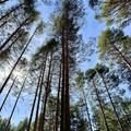 Дом на продажу в Шуйской Чупе, Береговая ул фото №4