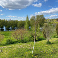Дом на продажу в Сельце-Шатерно, Рюриковская ул, 8 фото №14