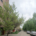 Квартира на продажу в Воронеже, Рижская ул, 8 фото №18