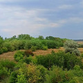 Дом на продажу в Мокром Чалтырье, Мокрый Чалтырь х фото №13
