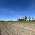 Участок на продажу в Придорожном, Придорожное п фото №12