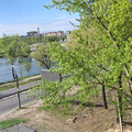 Комната на продажу в Нижнем Новгороде, Московское ш, 233 фото №16