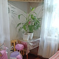 Дом на продажу в Йошкар-Оле, Речной 2-й проезд, 4 фото №4