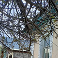 Дом на продажу в Йошкар-Оле, Речной 2-й проезд, 4 фото №15