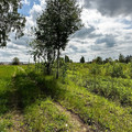 Участок на продажу в Раменском, 2-я Серебряная ул фото №6