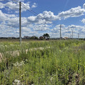 Участок на продажу в Раменском, 2-я Серебряная ул фото №1