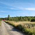 Участок на продажу в Раменском, Сергия Радонежского ул фото №2