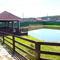 Готовый бизнес на продажу в Колташе, Мира ул, 21А фото №6
