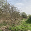 Участок на продажу в Раменском, Гостица (Гостица мкр.) ул фото №1