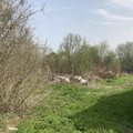 Участок на продажу в Раменском, Гостица (Гостица мкр.) ул фото №2