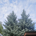 Дом на продажу в Образцово, Садовая ул, 6Б фото №15