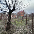 Дом на продажу в Краснодаре, Лесная (Топольки N4 снт) ул, 251 фото №2