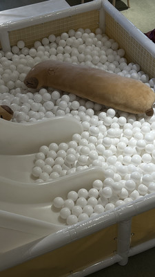 Фото: Продается готовый бизнес. test