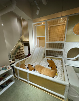 Фото: Продается готовый бизнес. test