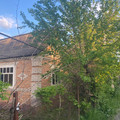 Участок на продажу в Азове, 21-ый Линейный пер, 579 фото №3