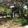 Дача на продажу в Больших Салах, Орион сад, 102 фото №18