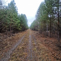 Коммерческая земля на продажу в Шелехове, N2 гск фото №7