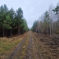 Коммерческая земля на продажу в Шелехове, N2 гск фото №8