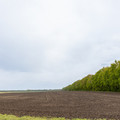 Коммерческая земля на продажу в Верхняе Катуховке, Верхняя Катуховка с фото №9