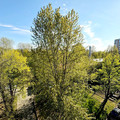 Комната в аренду в Санкт-Петербурге, Железноводская ул, 26-28 фото №4