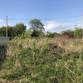Участок на продажу в рабочем посёлке Свердловский, Зеленая ул фото №4