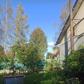 Дом на продажу в Пушкине, 11-я линия (Дони тер. СНТ) ул, 25 фото №1