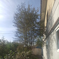 Дом на продажу в Пушкине, 11-я линия (Дони тер. СНТ) ул, 25 фото №4