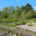 Коммерческая земля на продажу в Великом Новгороде, Новая ул фото №0