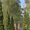 Дом на продажу в Парголово, Берёзовая (Осиновая Роща тер.) аллея, 11В фото №2