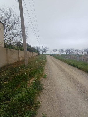 Фото: Гостиница test