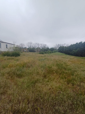 Фото: Гостиница test