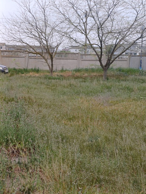 Фото: Гостиница test