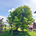 Дом на продажу в Шуклино, Строительная ул, 5 фото №23