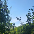 Участок на продажу в деревне Граддор, Граддор д фото №3